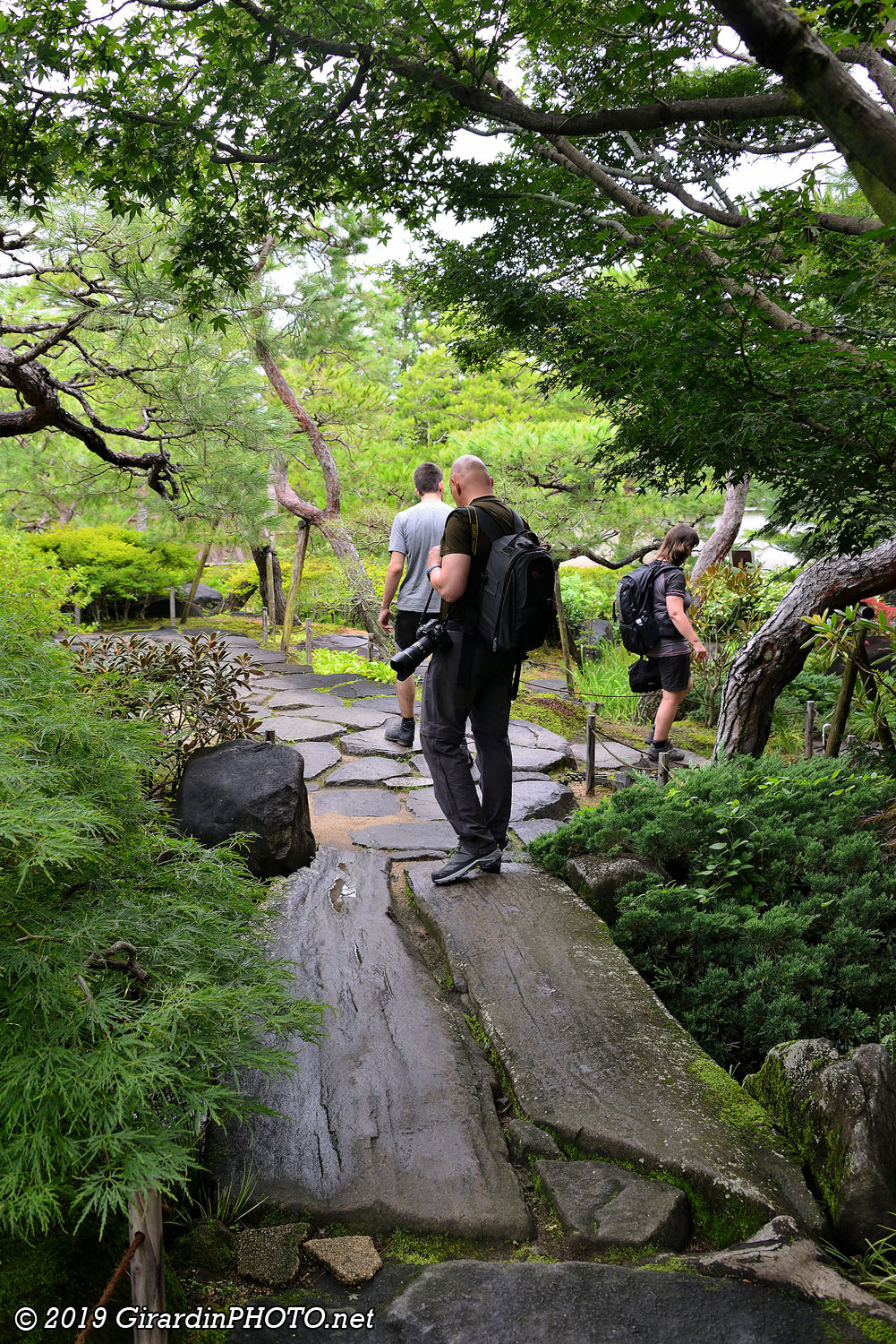 The Garden of Pine Trees