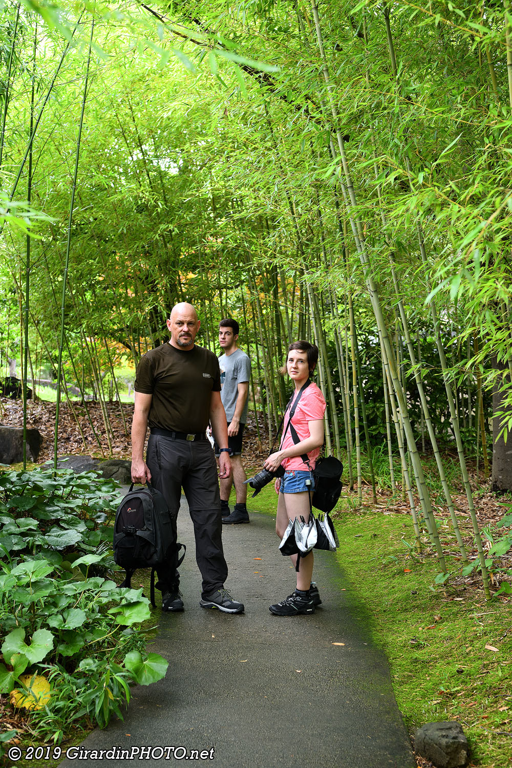 The Garden of Bamboo