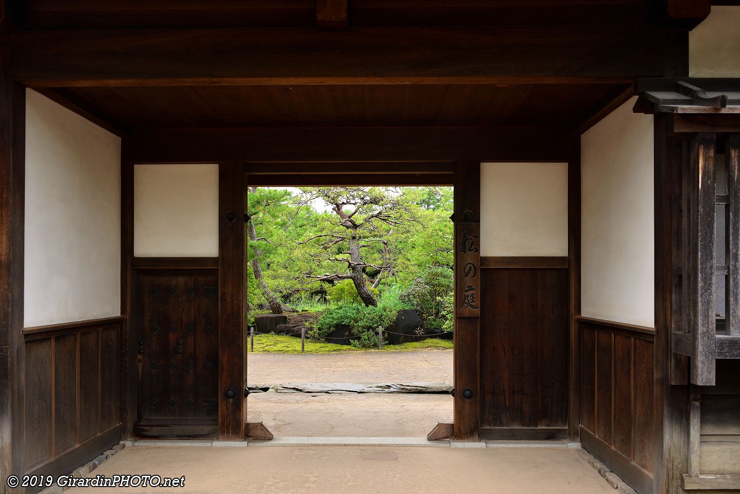 The Garden of Pine Trees