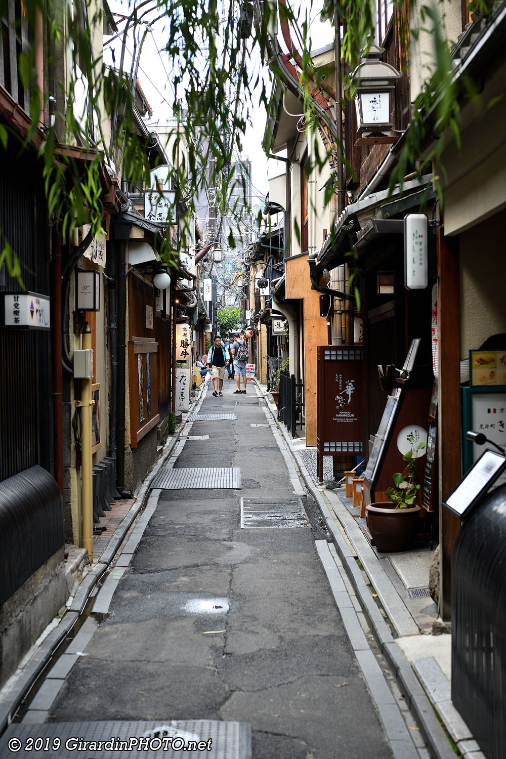 Pontocho-dori