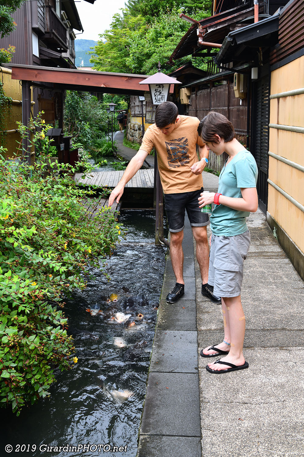 Igawa Komichi et ses carpes koï