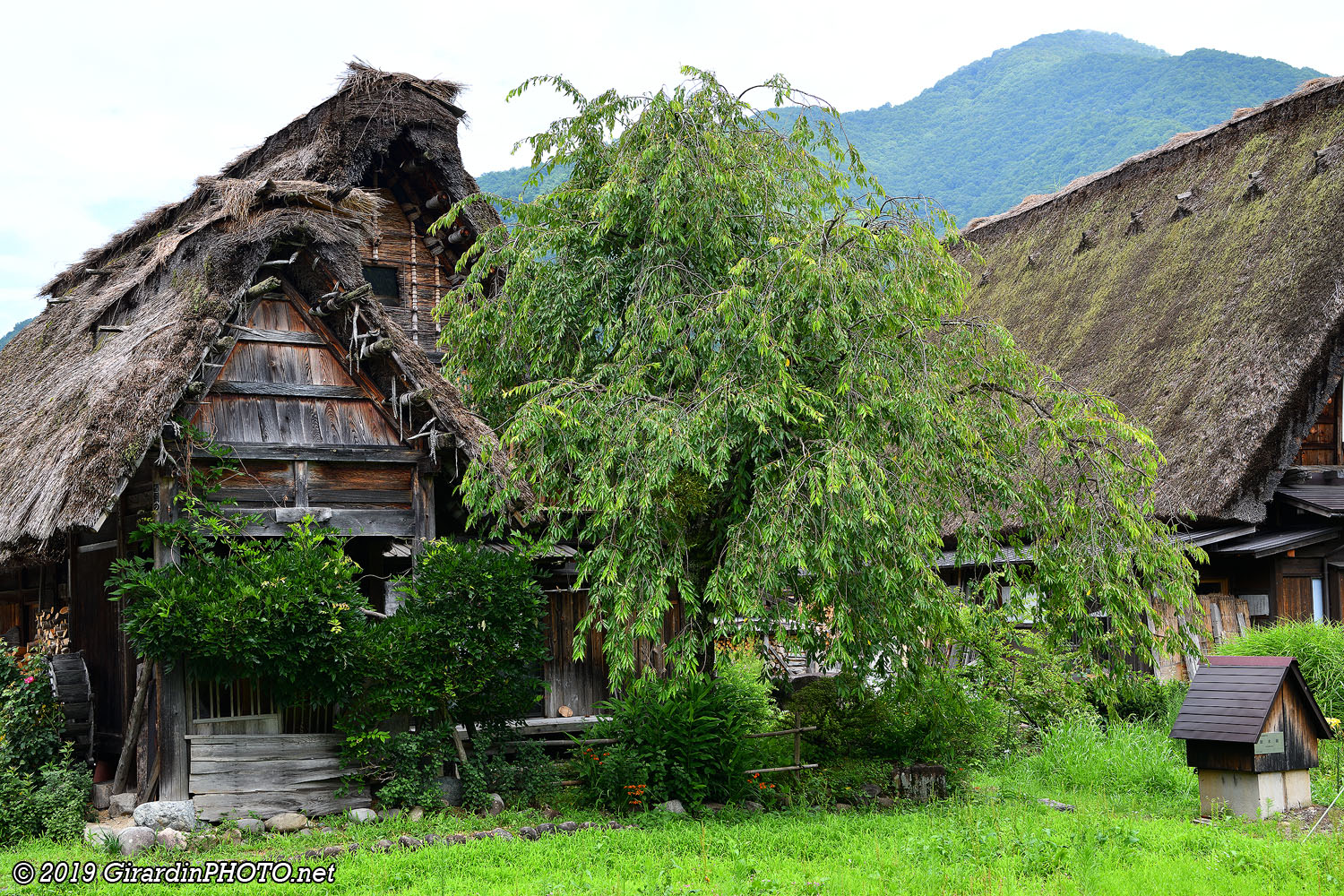 Maisons à l'architecture gasshô-zukuri
