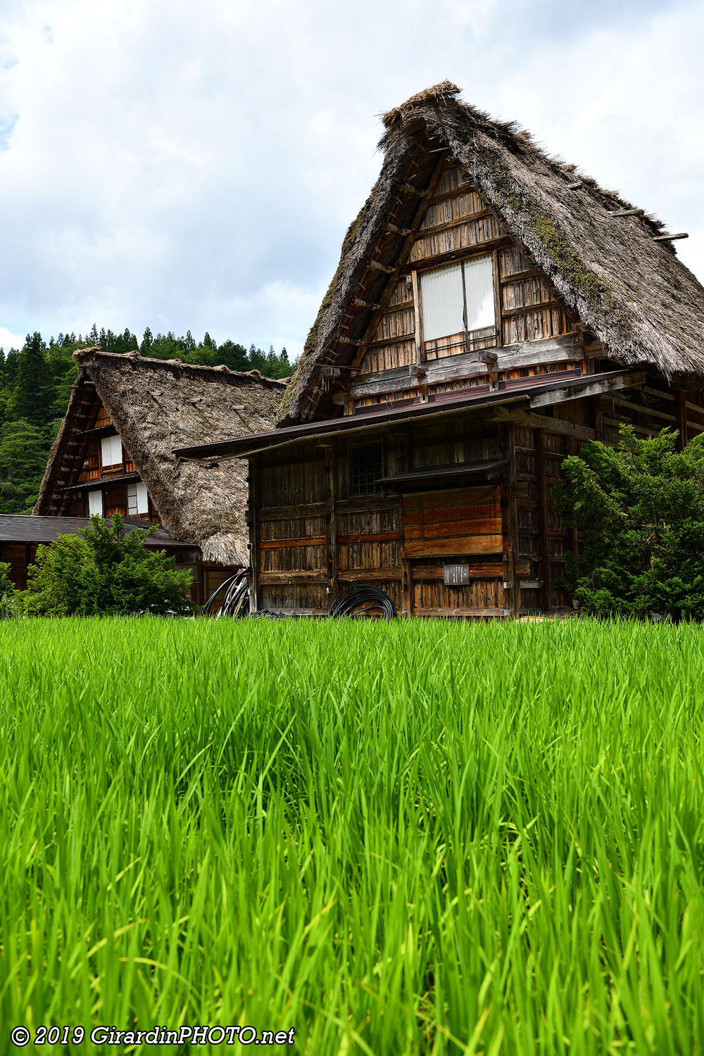 Deai Bridge pour rejoindre le village d'Ogimachi et ses maisons traditionnelles