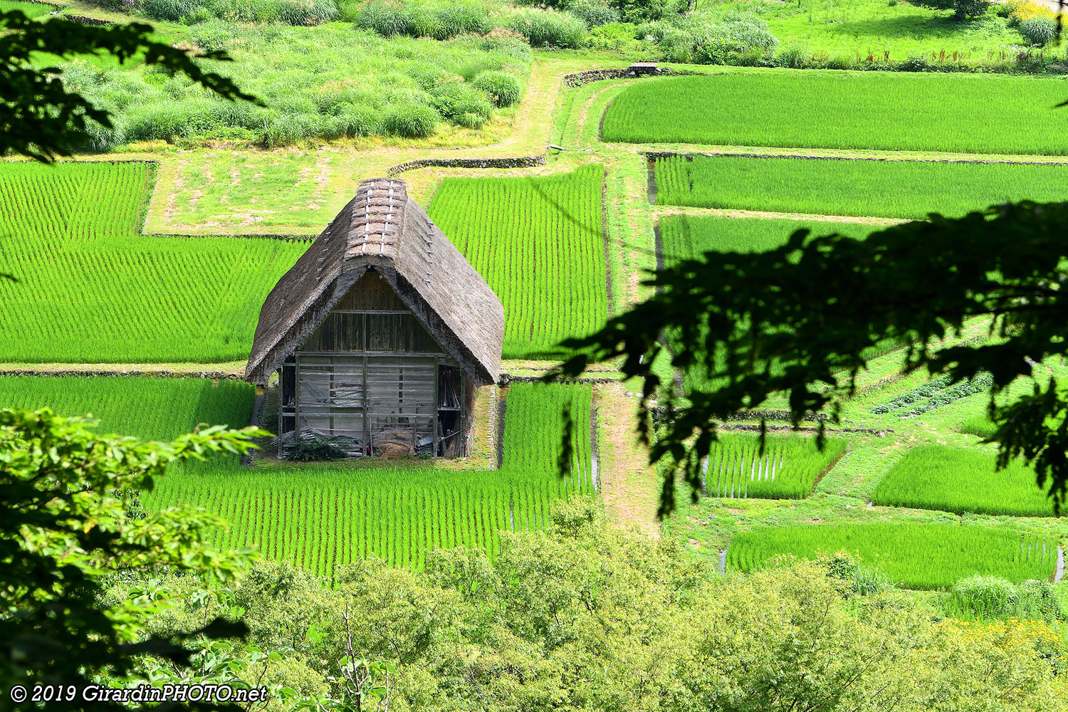 Village d'Ogimachi