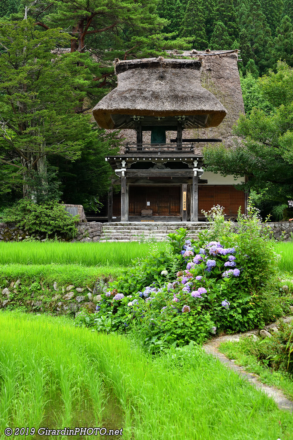 Temple Myozenji