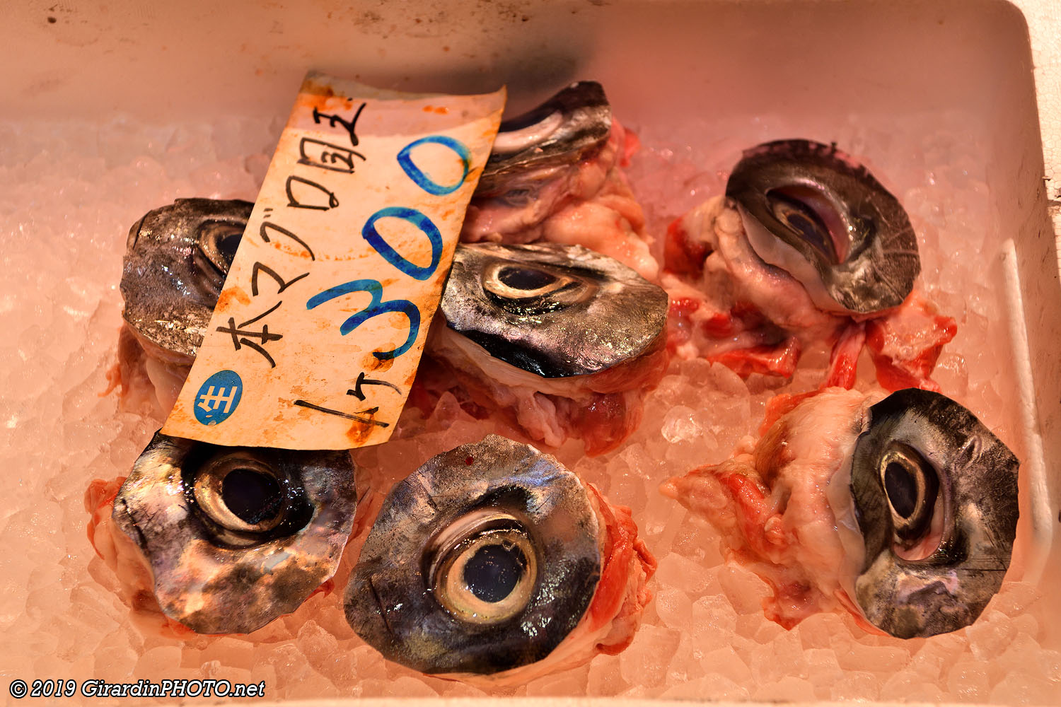 Etalage de poissons frais