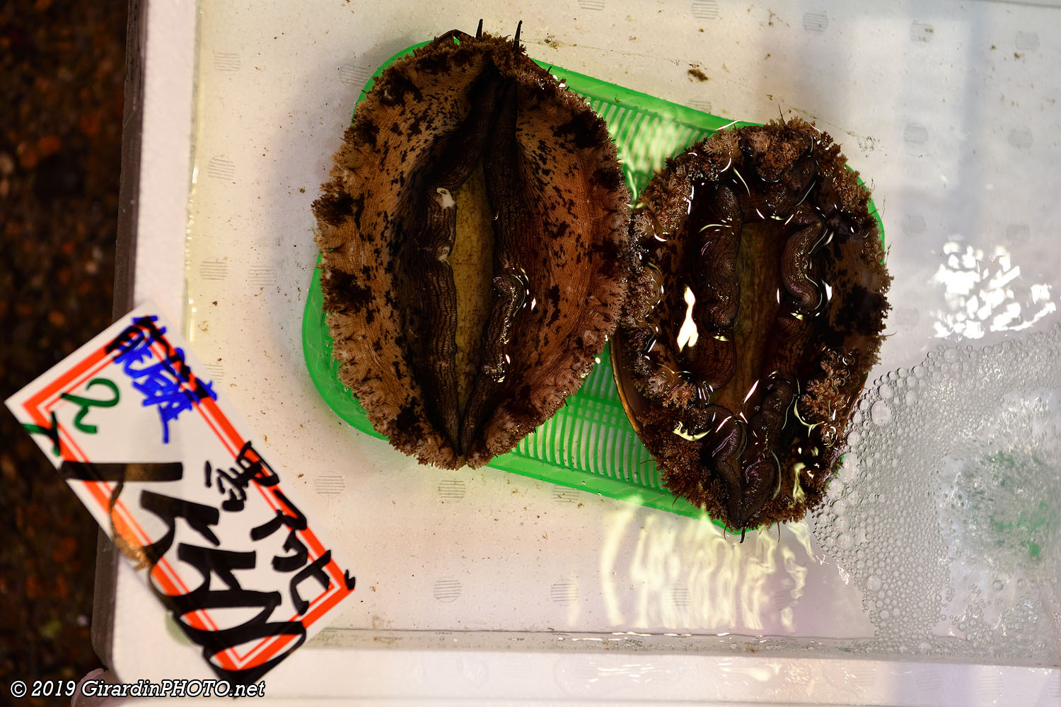 Etalage de poissons frais