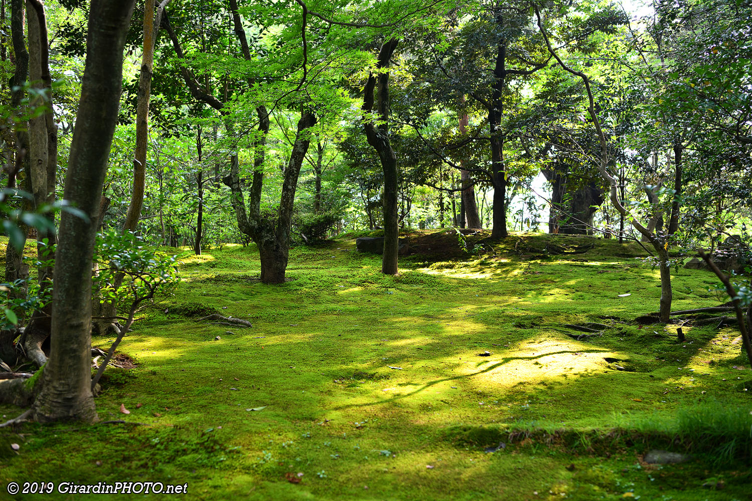 Kenroku-en Garden