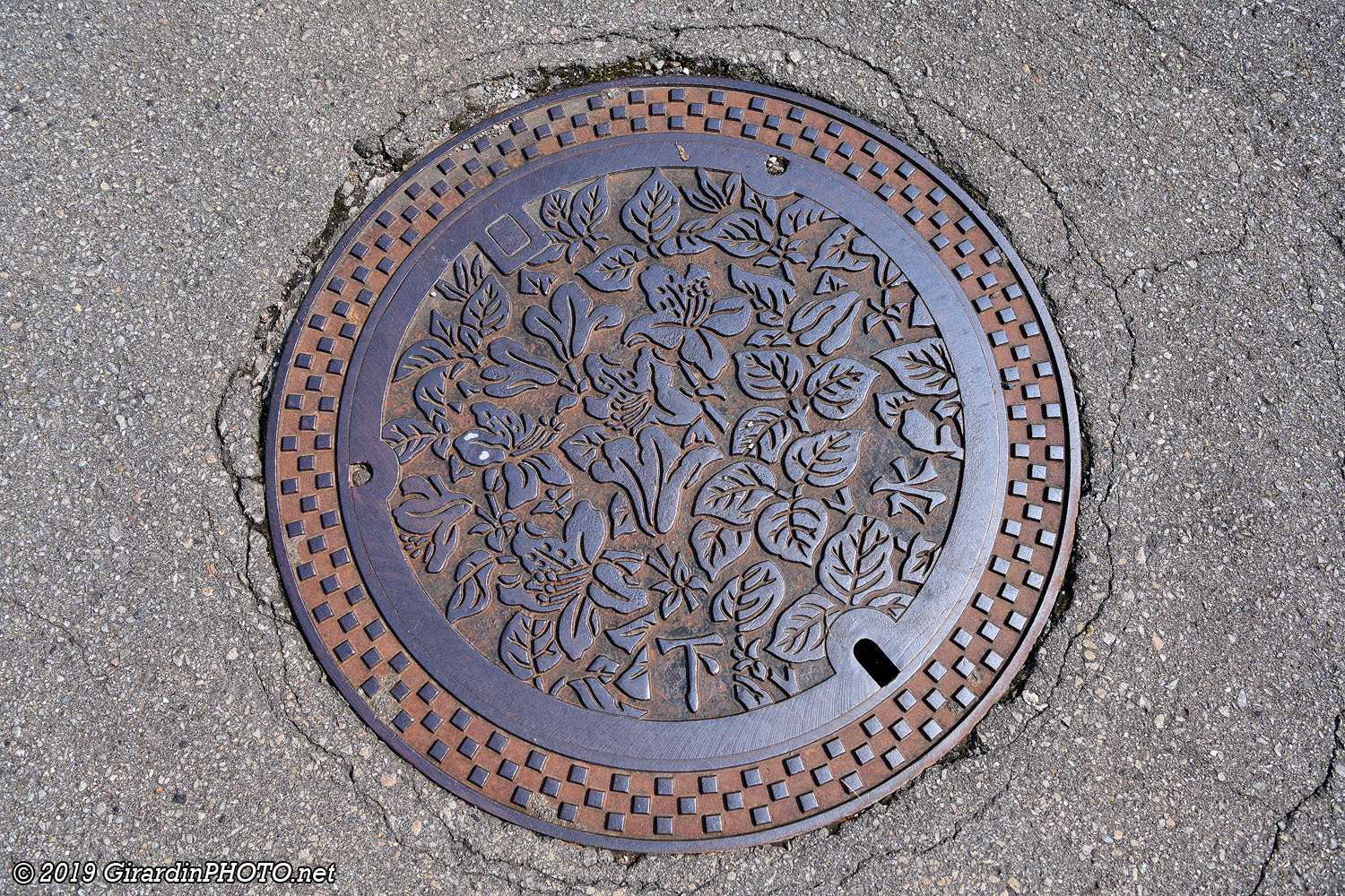 Grille d’égout avec des fleurs de rhododendrons, emblème de la ville