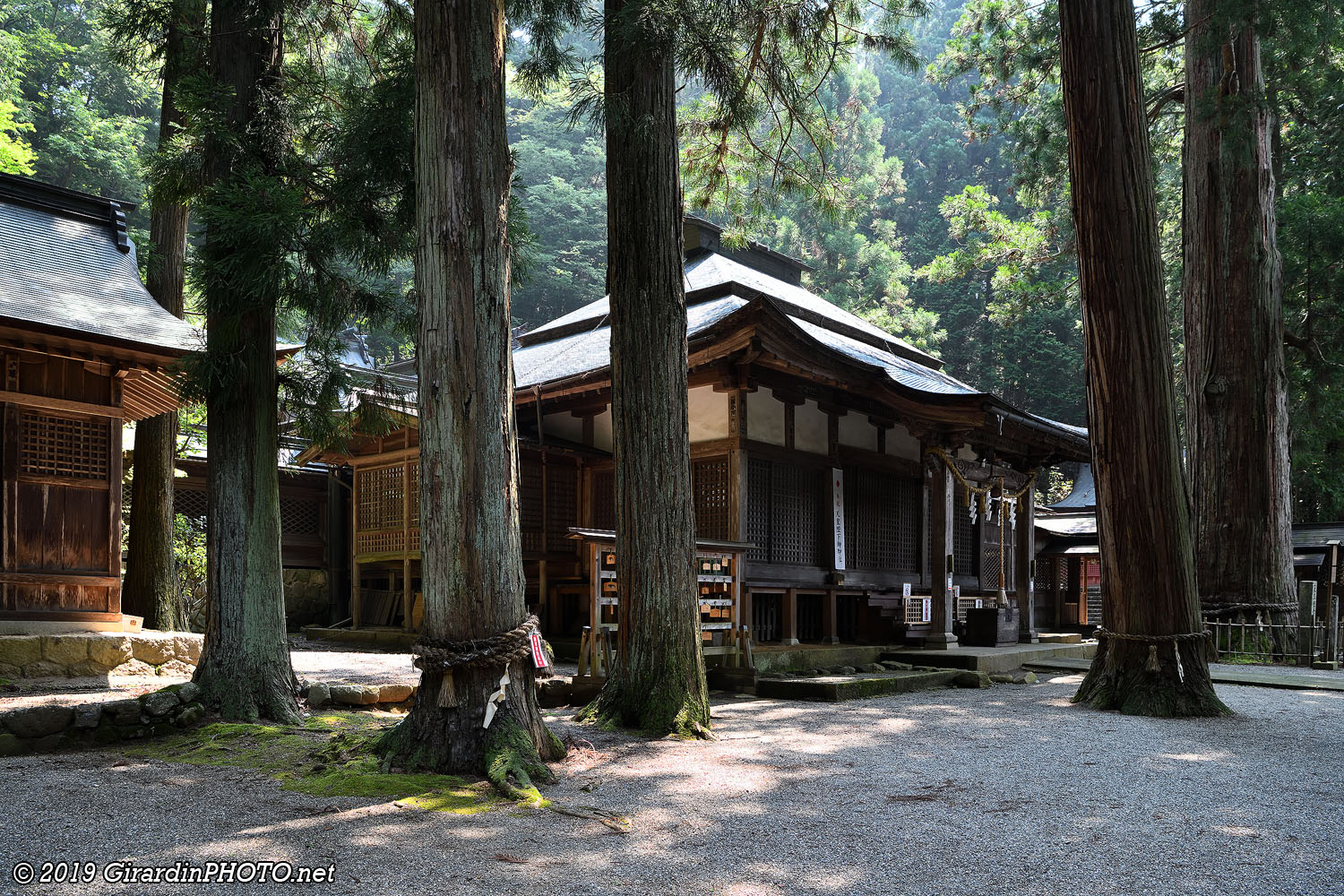 Hida Sannogu Hie Jinja Shrine et le cèdre géant au fond à droite