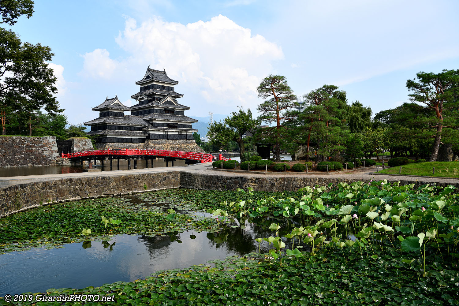 Matsumoto Castle et les fleurs de lotus