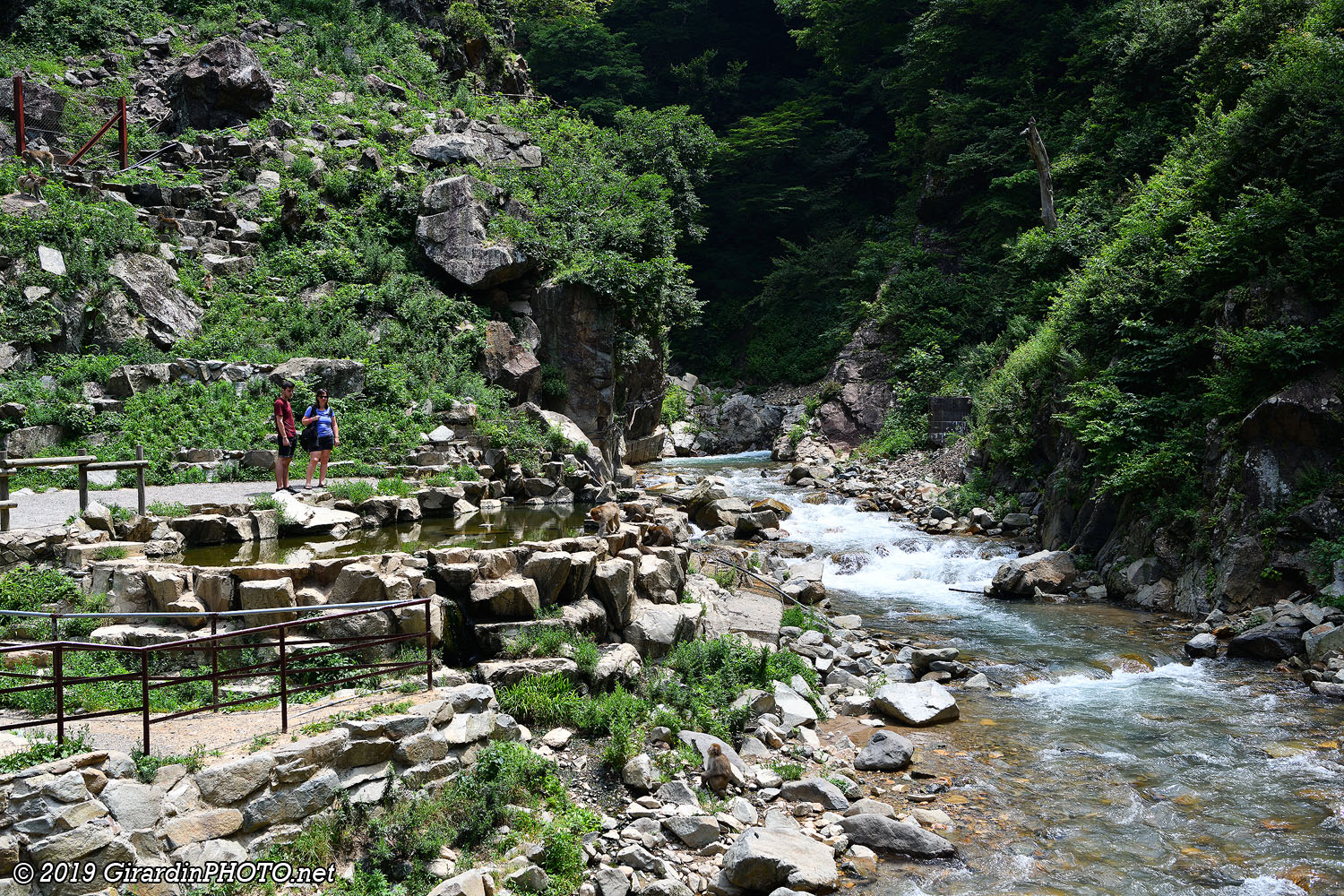 Onsen du Jigokudani Monkey Park