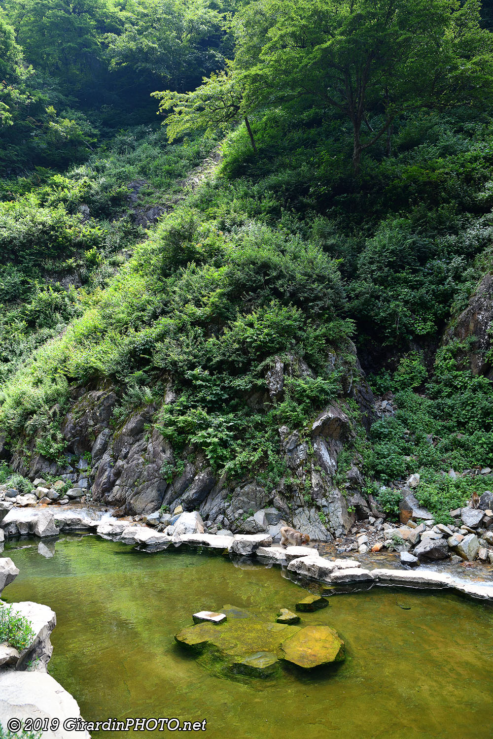 Onsen du Jigokudani Monkey Park