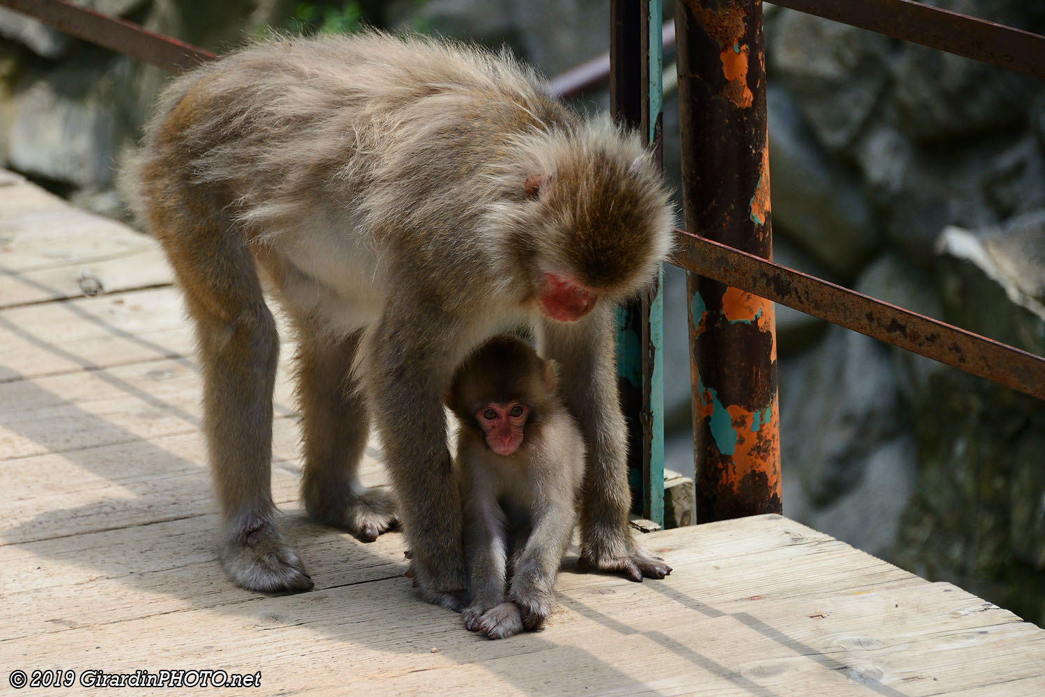 Maman et son bébé