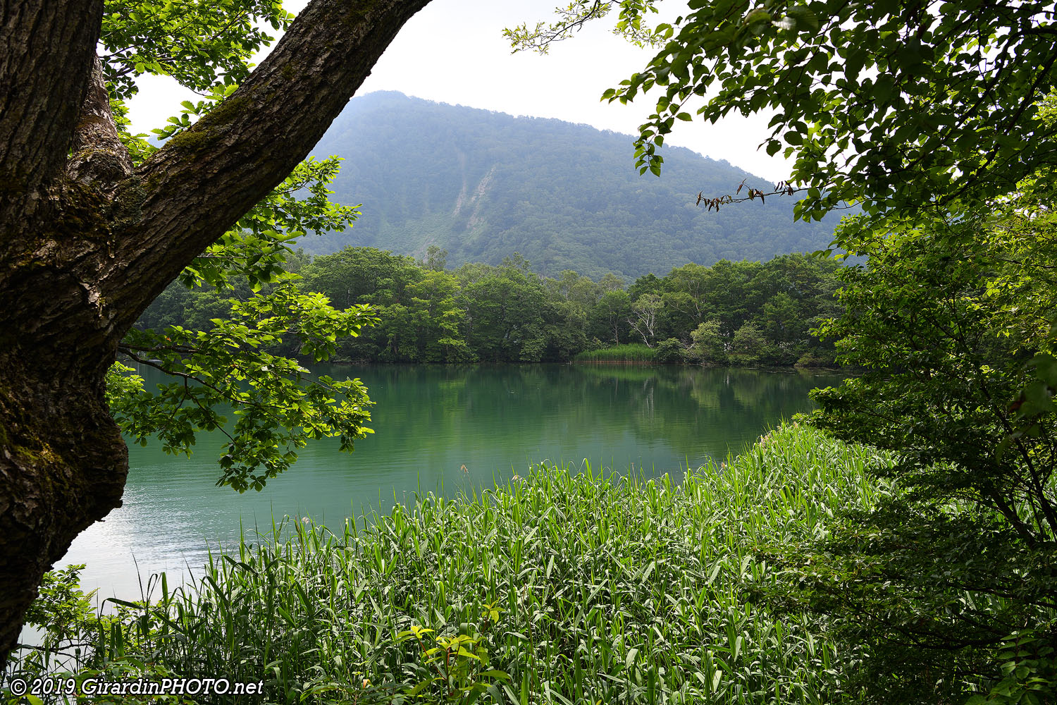 Maruike Pond