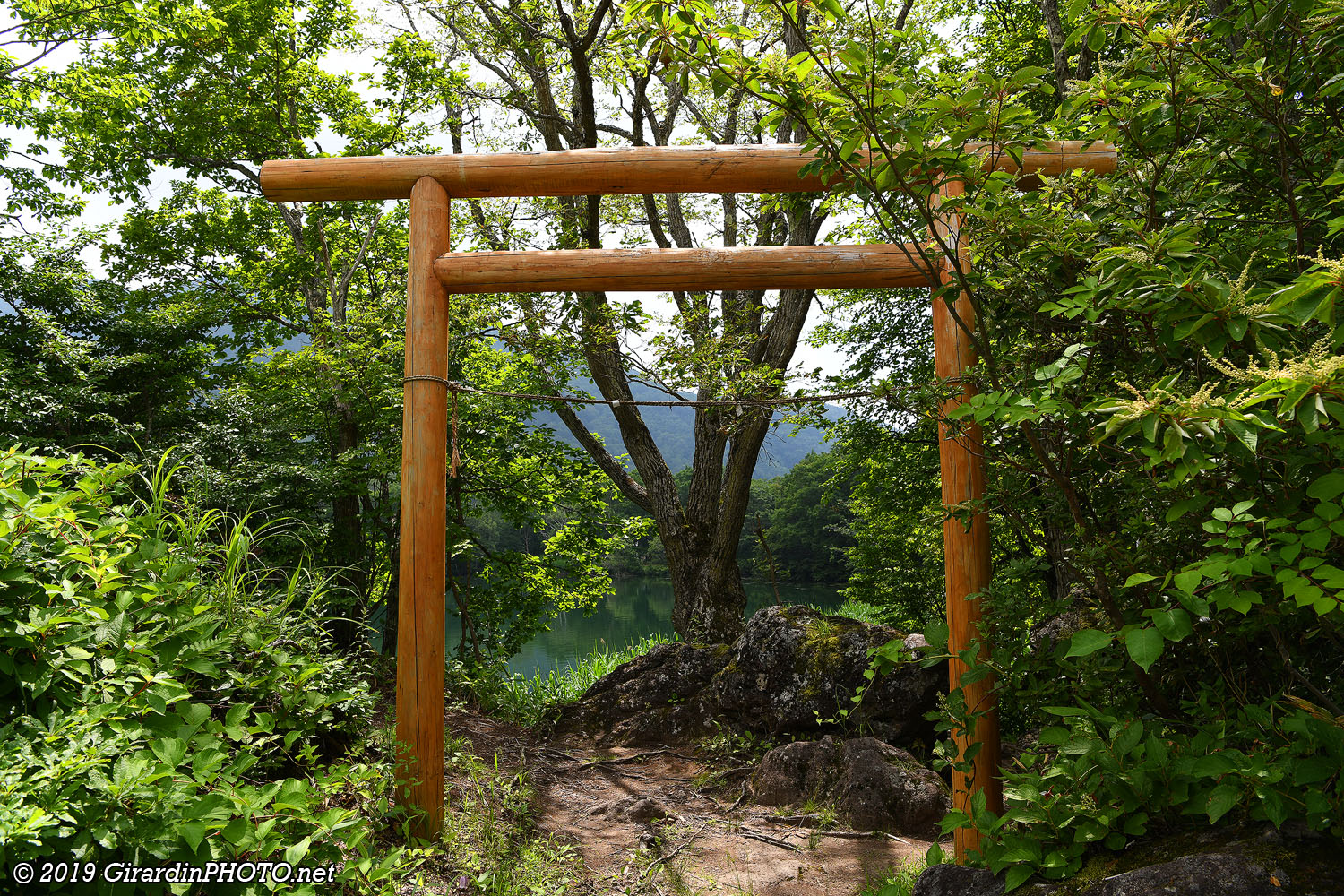 Torii au Maruike Pond