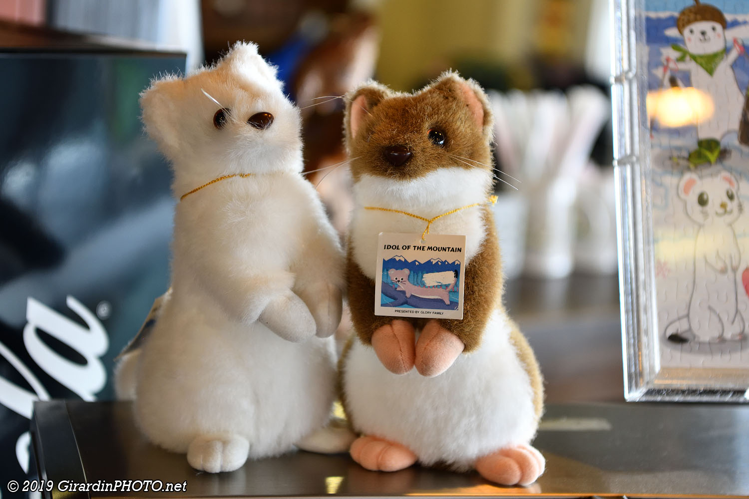 Les mascottes (hermines)