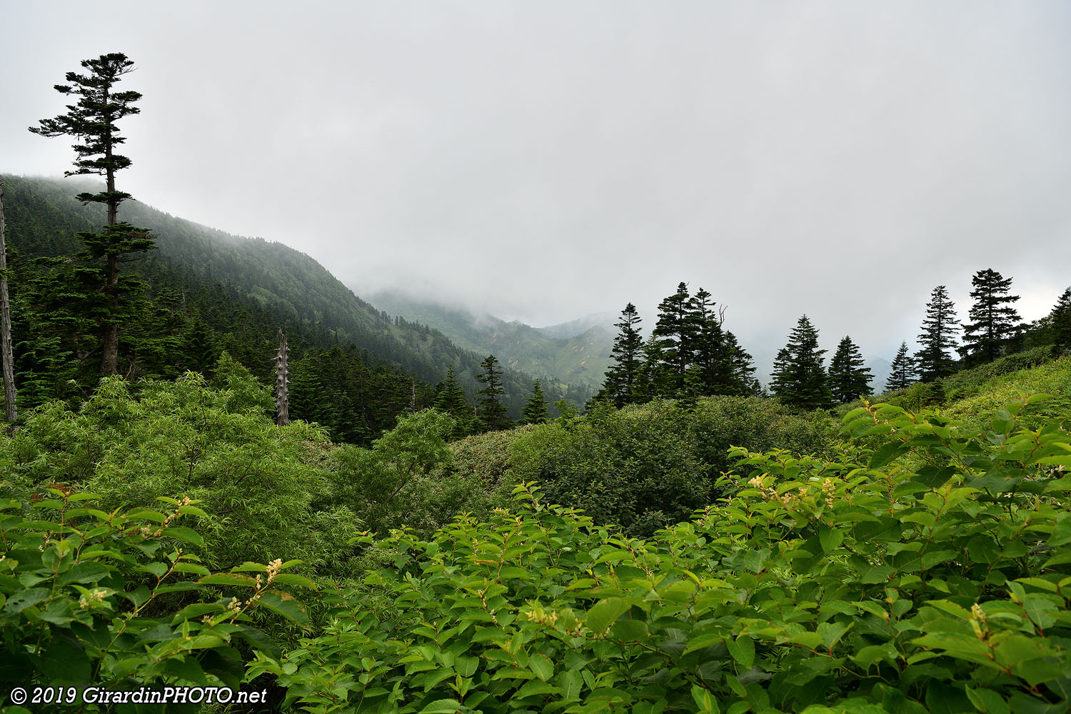 Vue depuis le Shipu Pass
