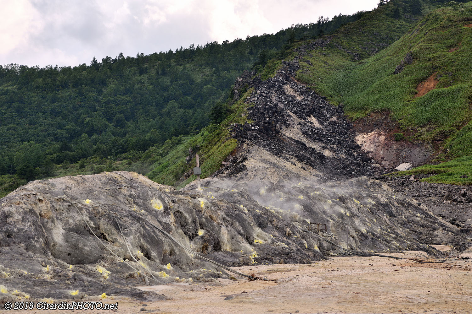 Lave près de la route