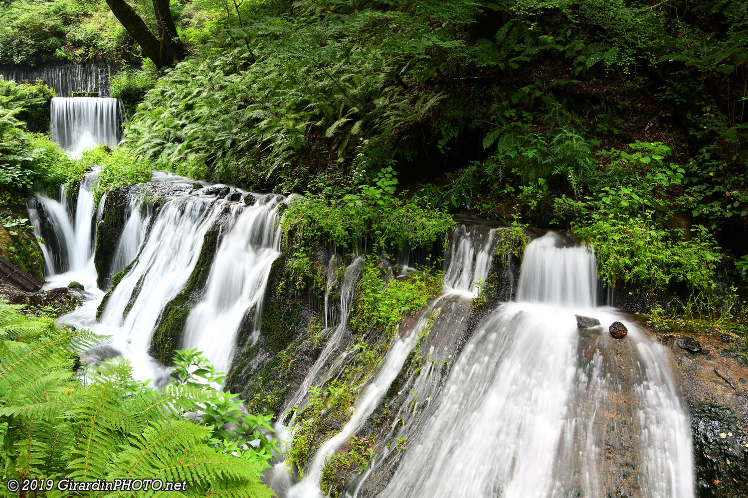 Rivière le long du chemin qui va aux Shiraito Falls