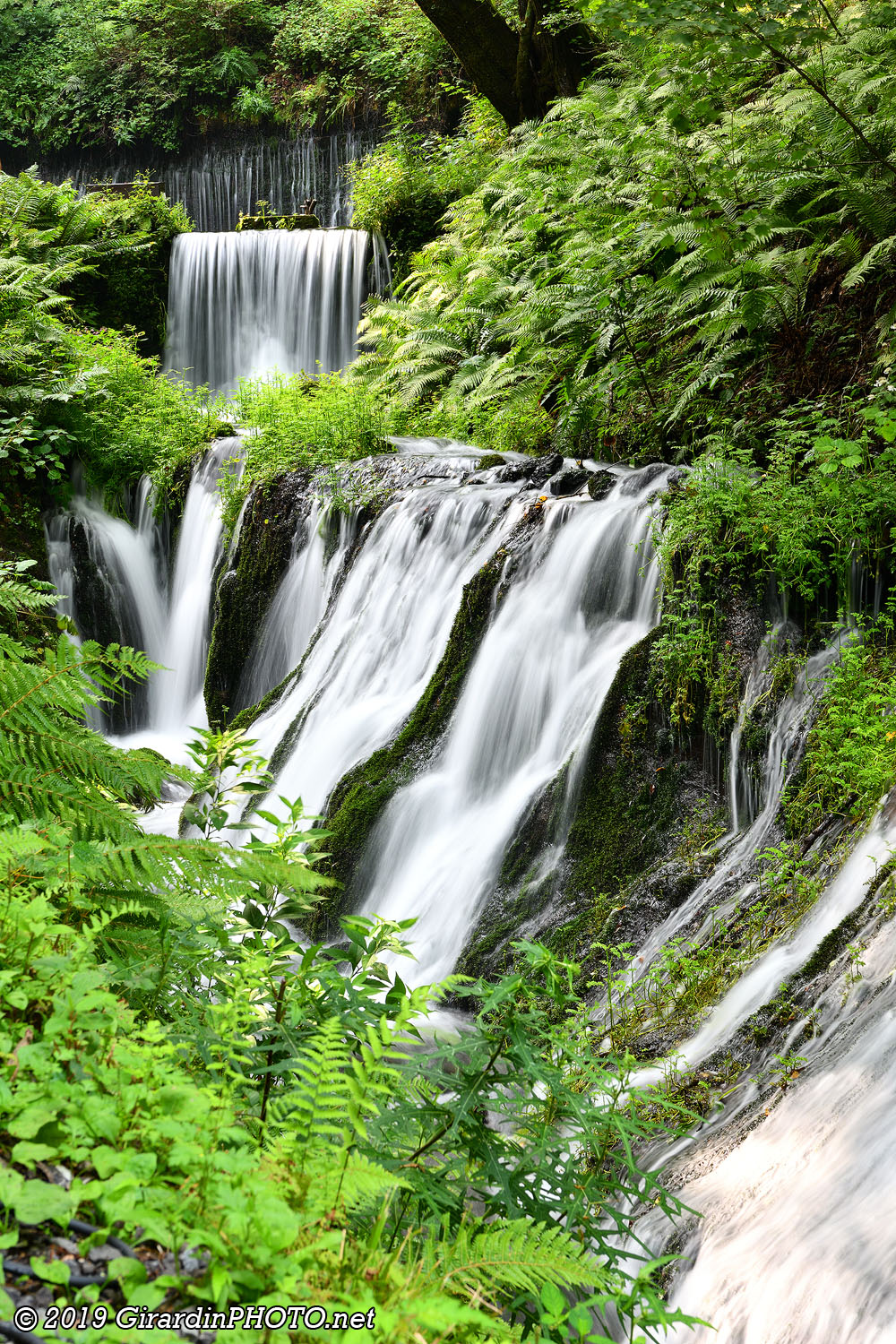 Rivière le long du chemin qui va aux Shiraito Falls