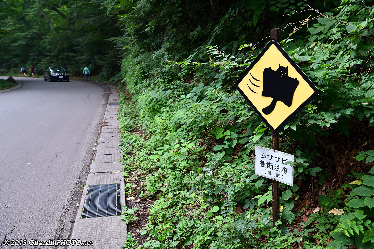 Petite marche pour rejoindre le Picchio Wildlife Research Center