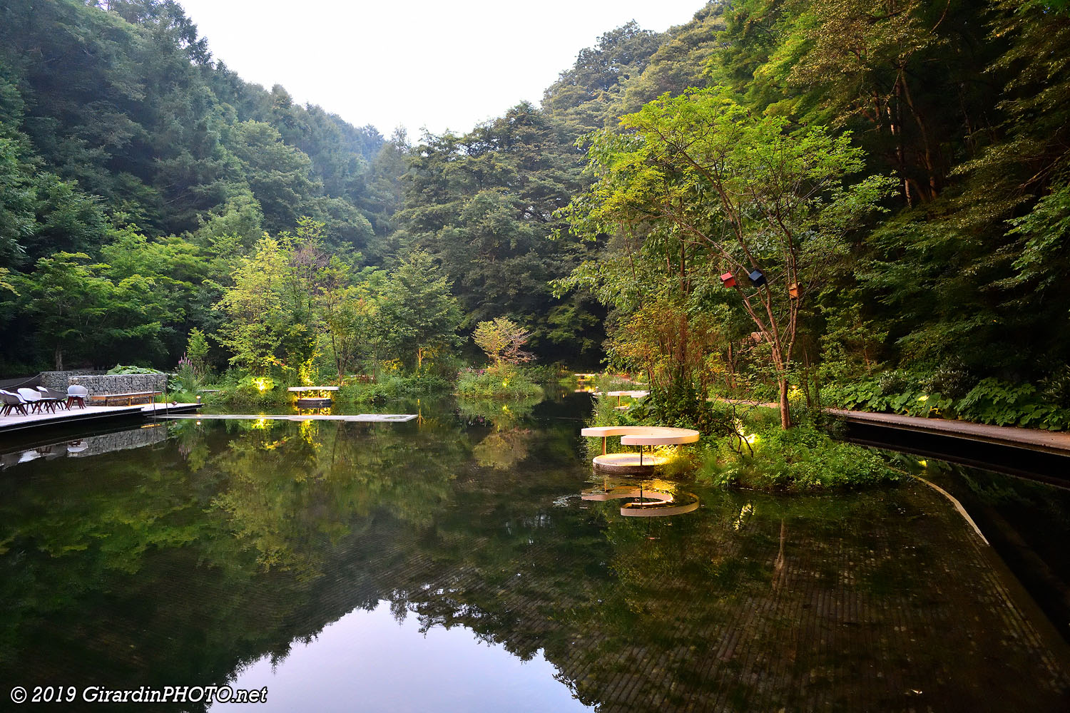 The Picchio Wildlife Research Center
