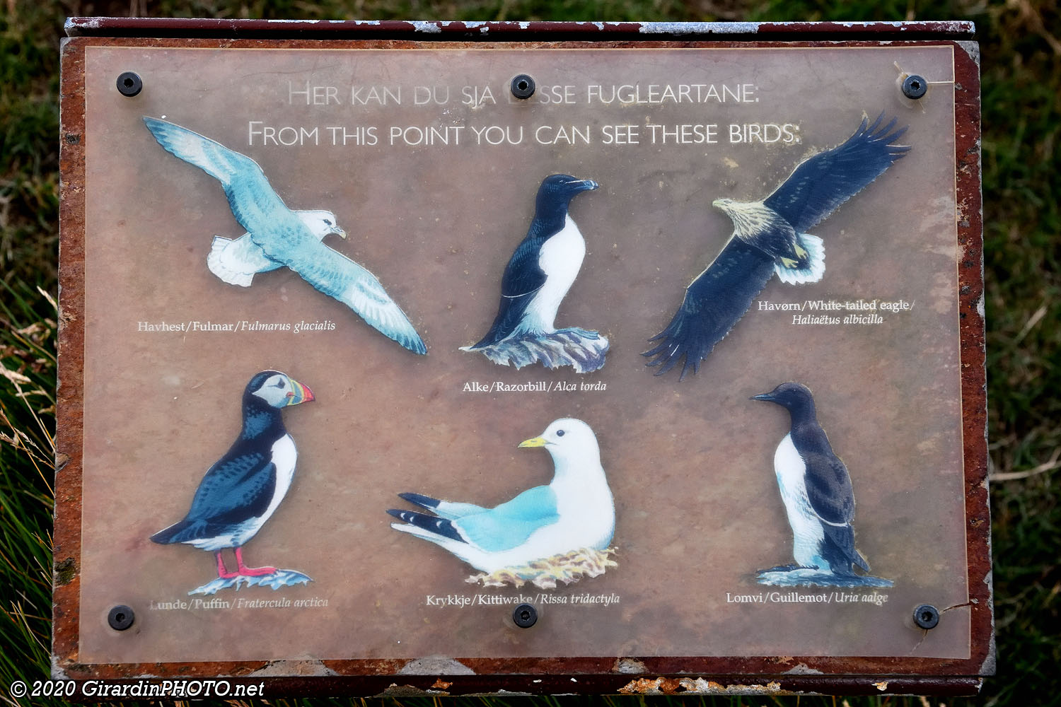 Panneau des oiseaux que l'on peut apercevoir