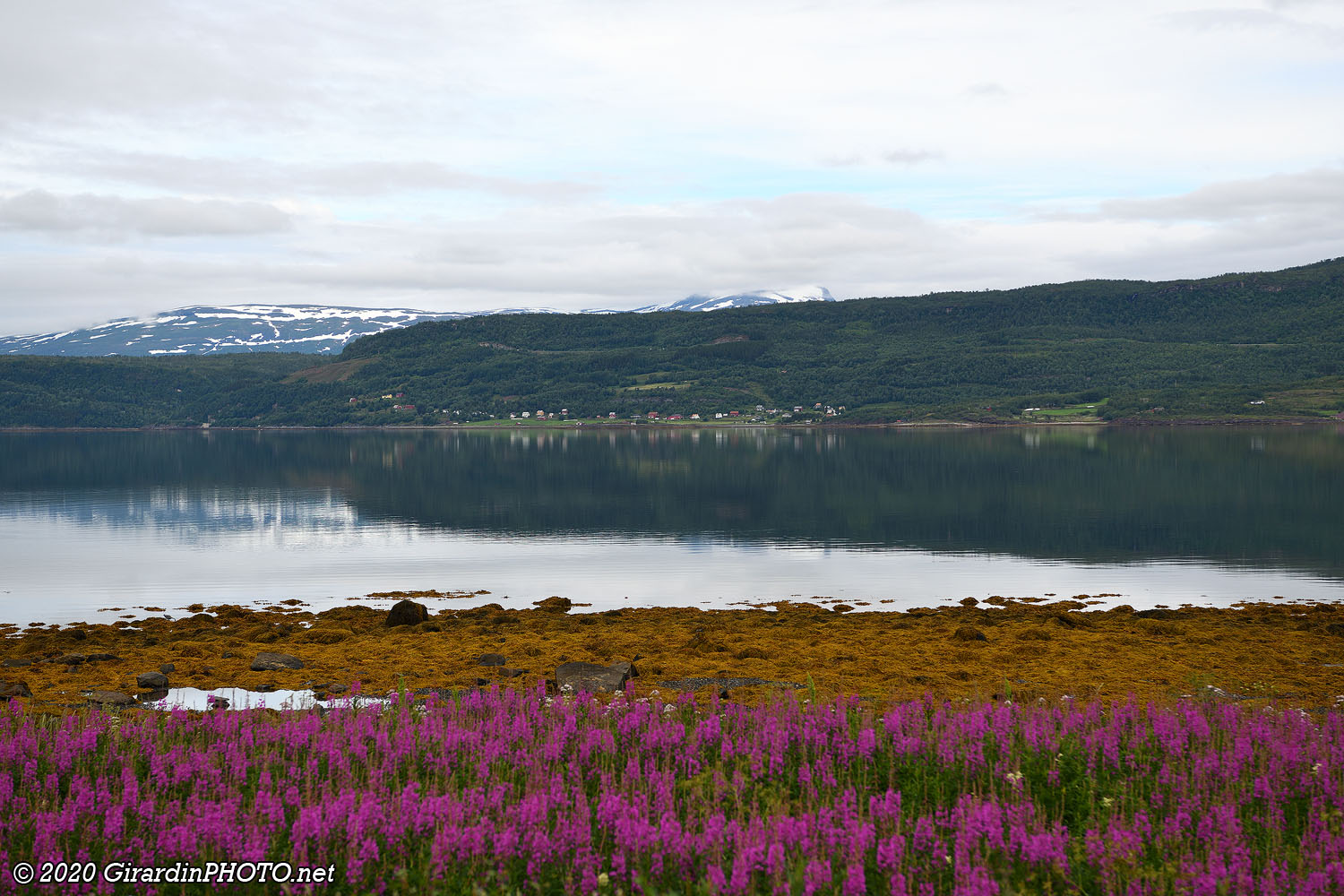 Ofotfjord, le long de la route E6