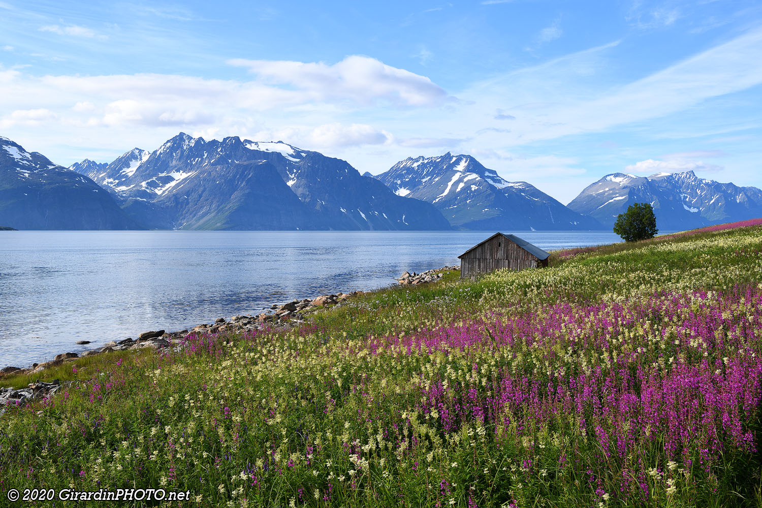 Fjord Lyngen