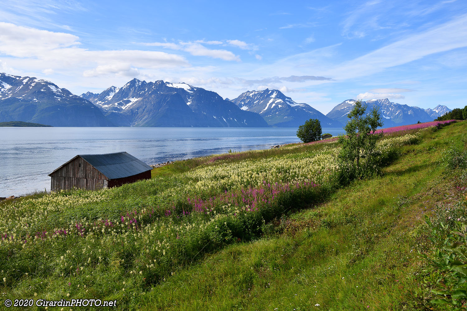 Fjord Lyngen
