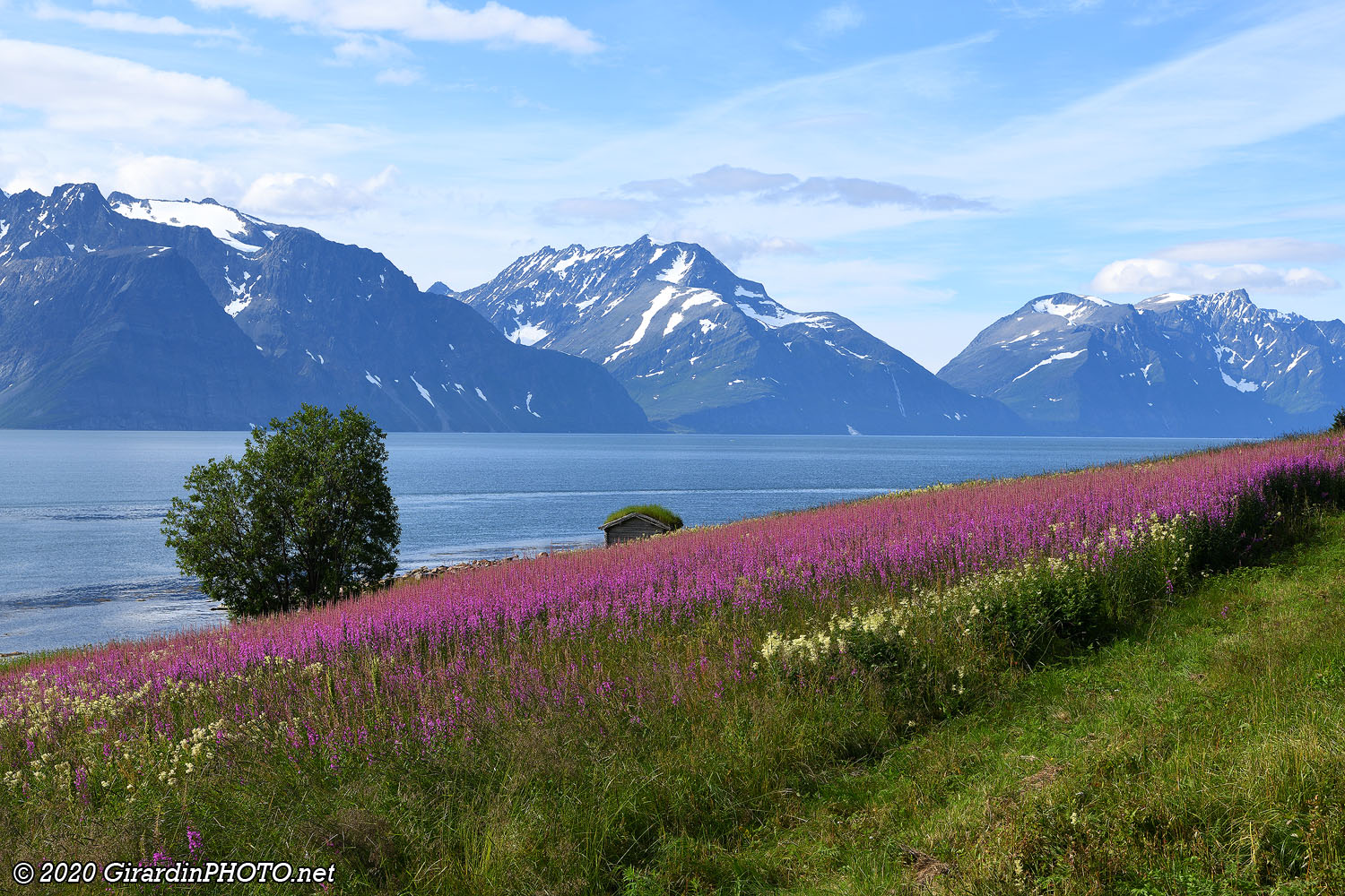 Fjord Lyngen