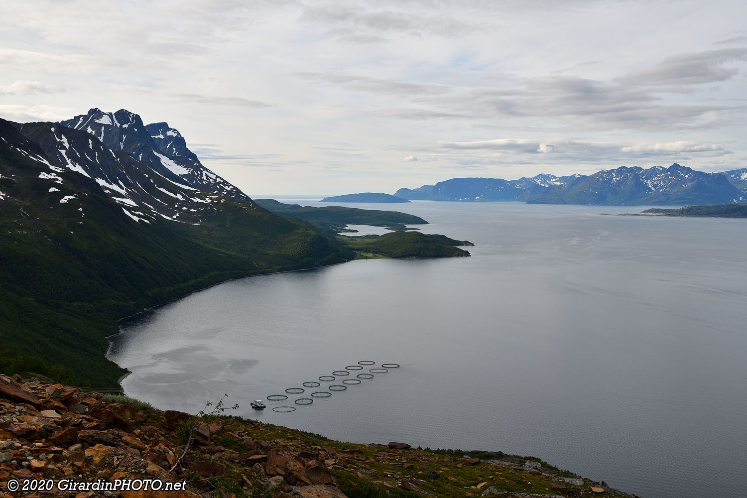 Fjord Kvænangen
