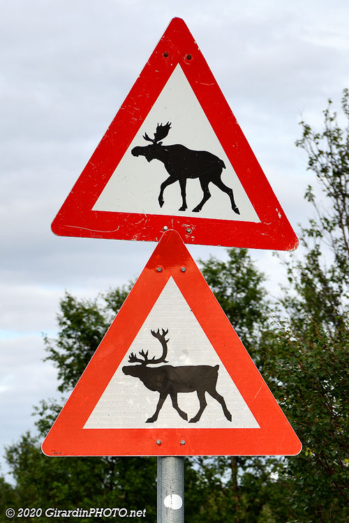 Attention aux multiples dangers !
