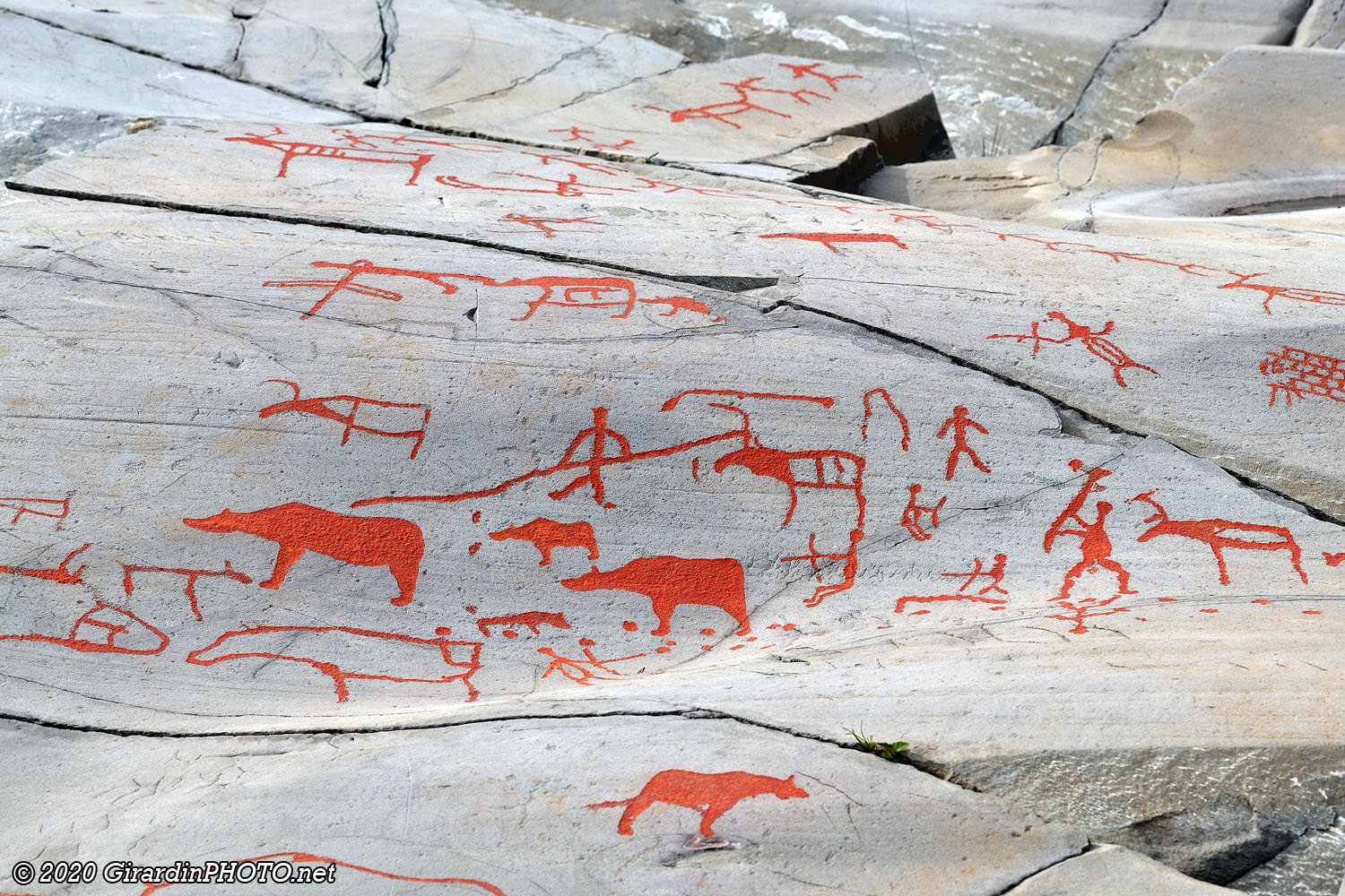 Chasse à l'ours