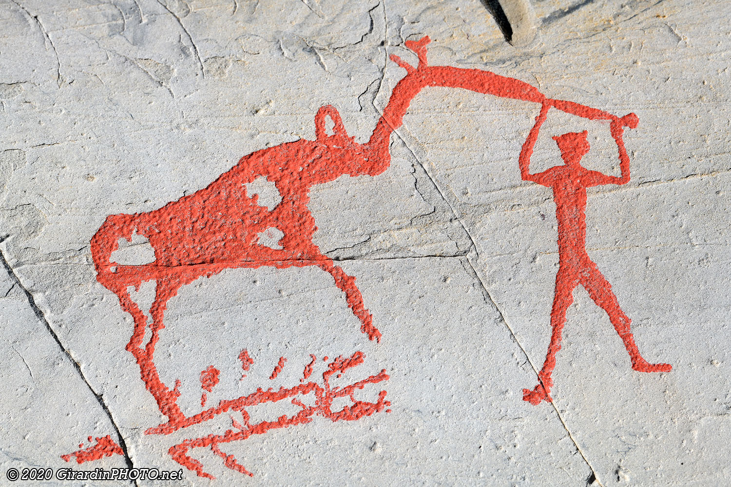 La chasse à l'élan
