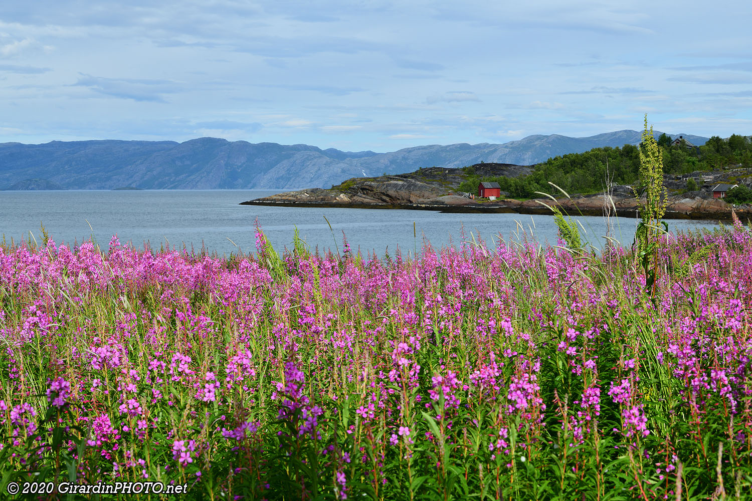 Vue sur le fjord Altafjord
