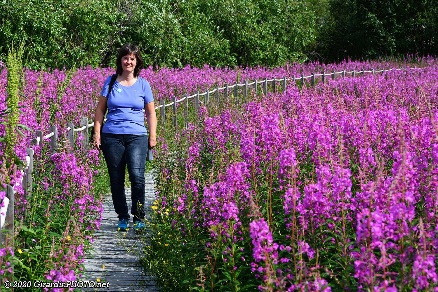 Sentier fleuri