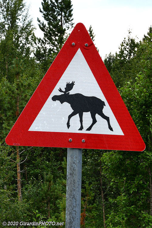 Attention aux multiples dangers !