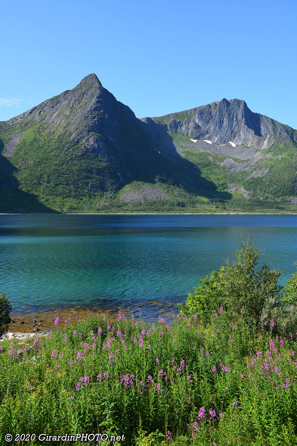 Vue sur le fjord Steinfjorden