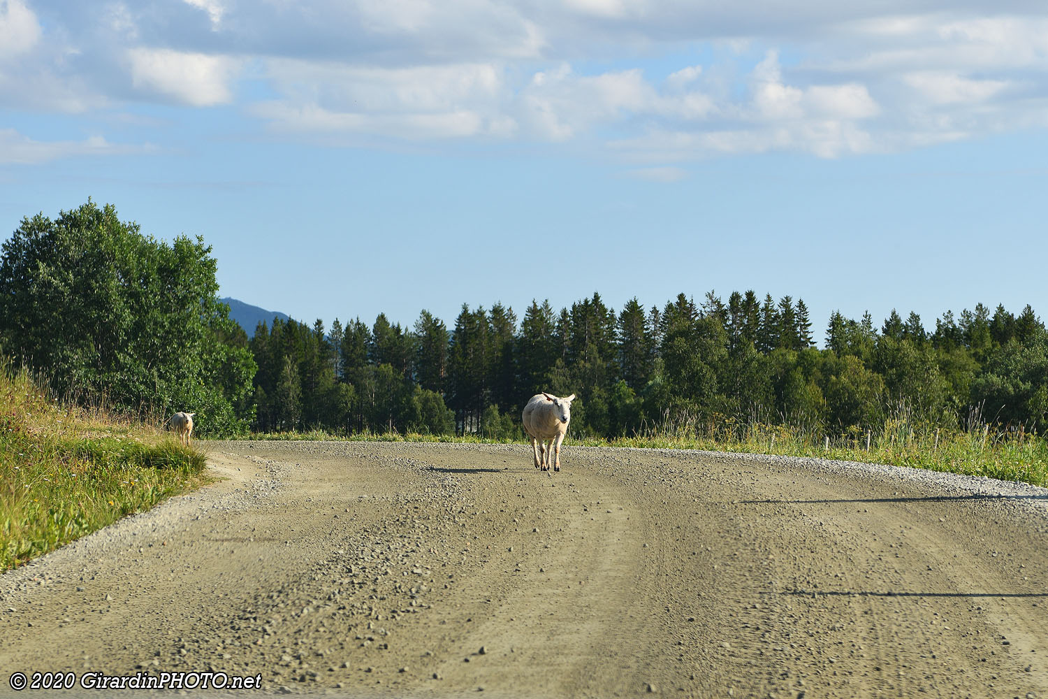 Piste Fv228