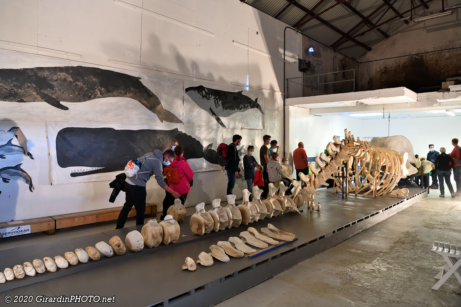 Musée de la baleine