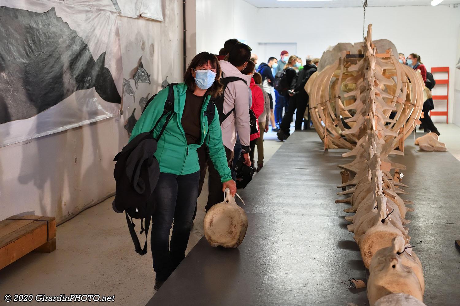 Musée de la baleine