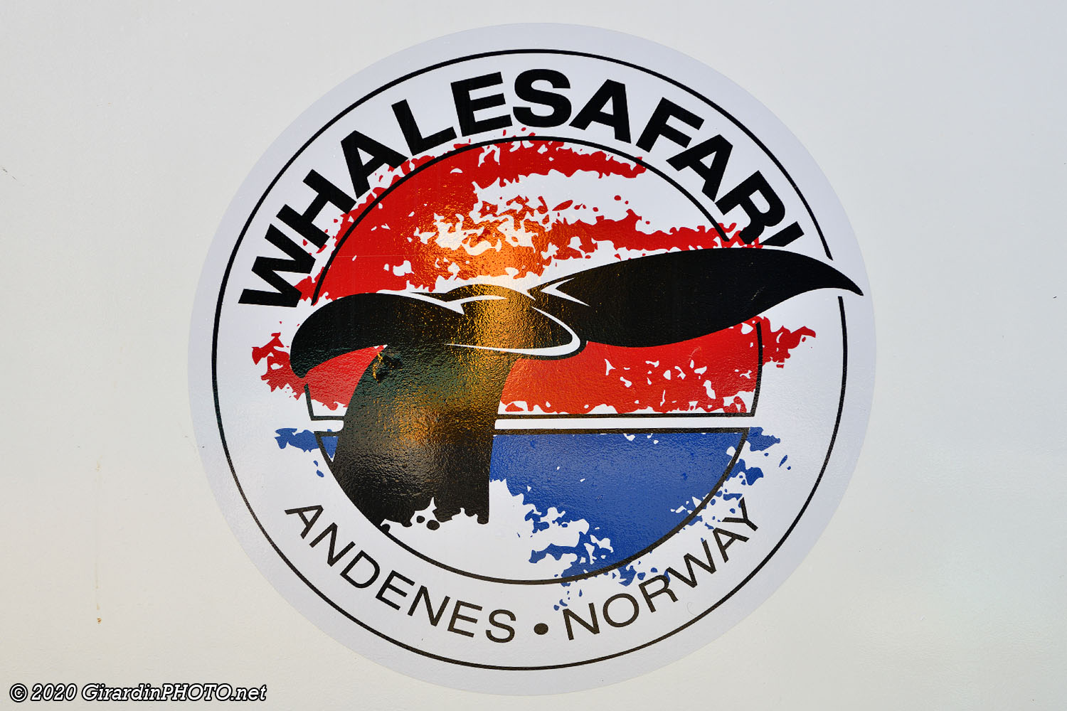 Whalesafari