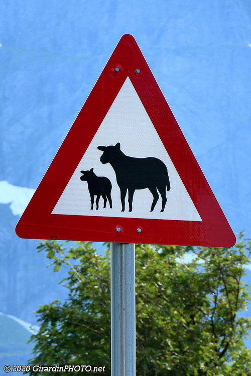 Attention aux multiples dangers !