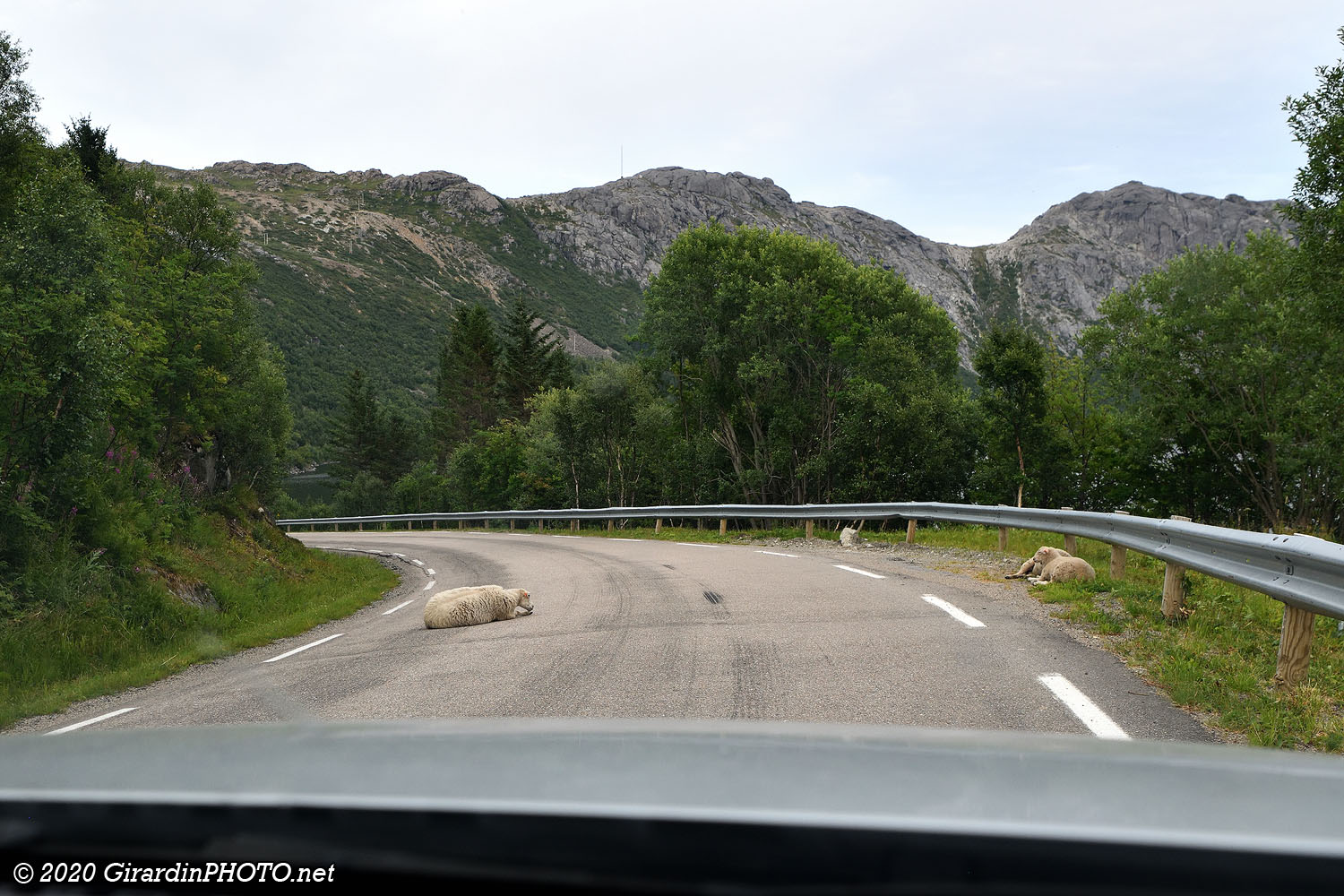 Route Fv807