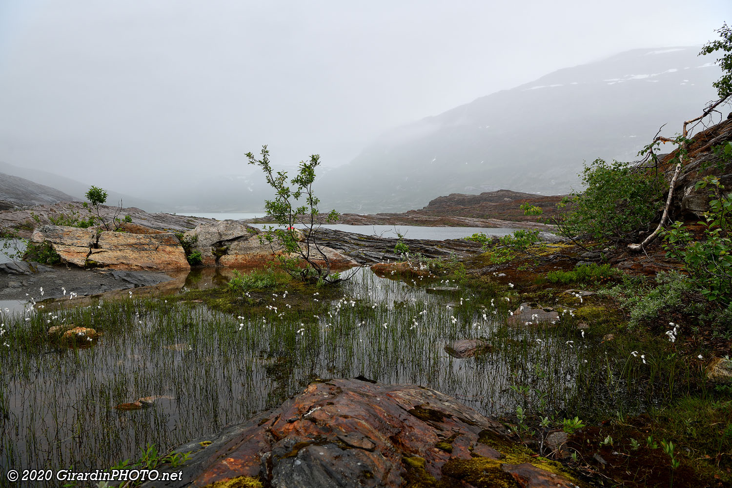 Nous arrivons bientôt au lac Austerdalsvatnet