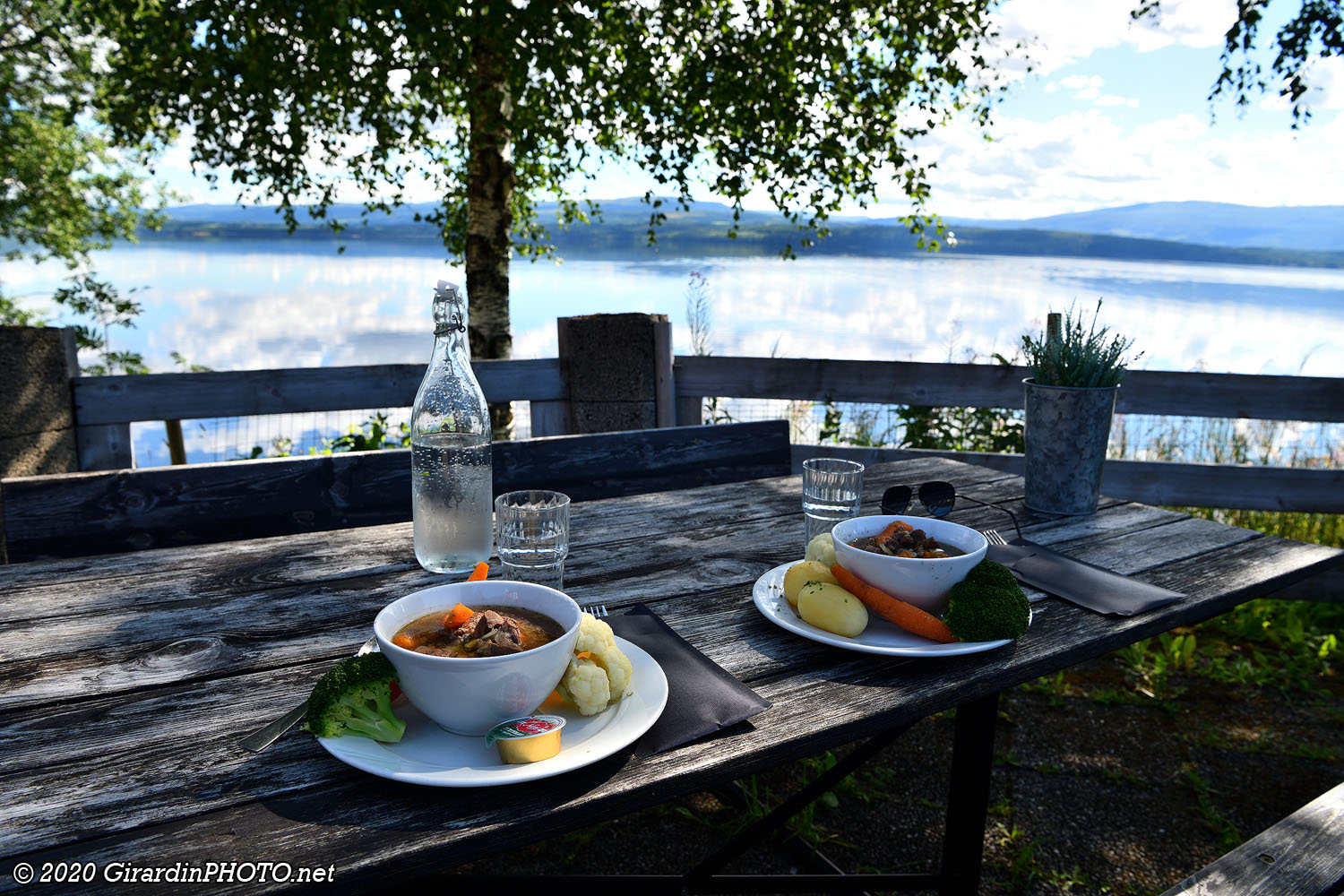 Fersk elgsuppe