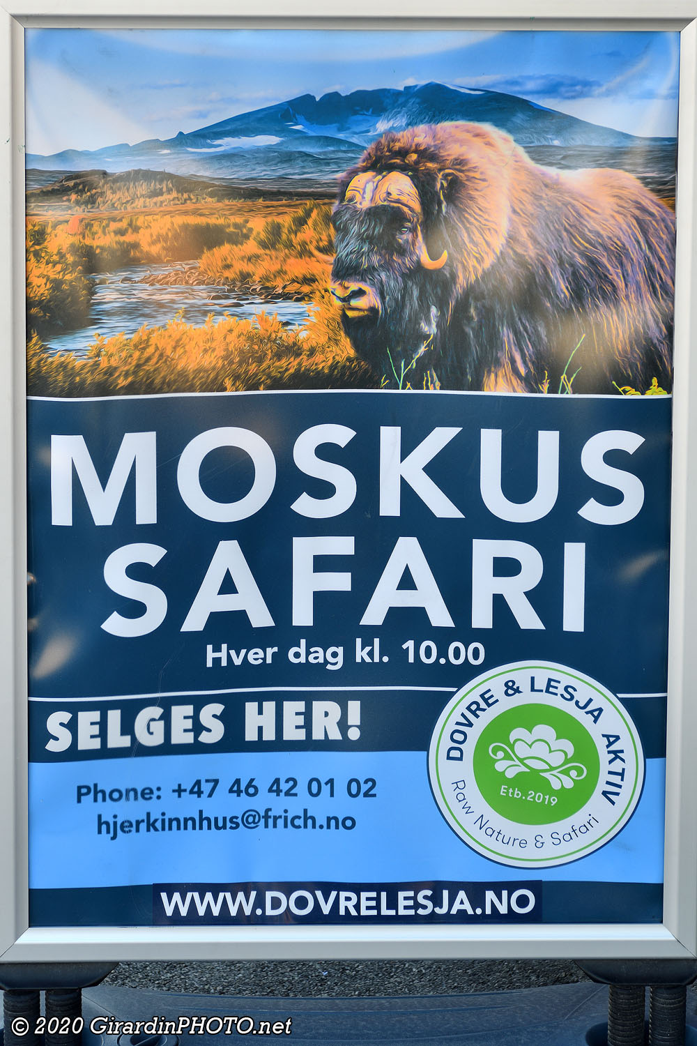Moskus Safari