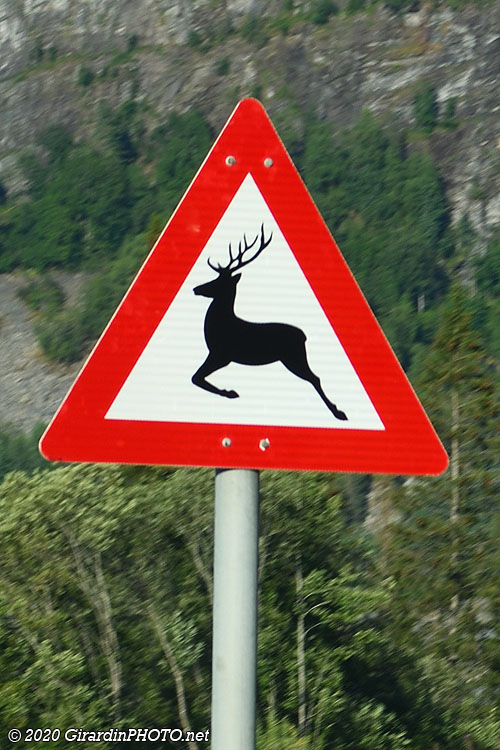 Attention aux multiples dangers !